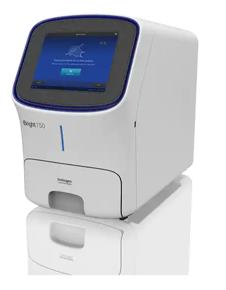  iBright™ CL750 Imaging System