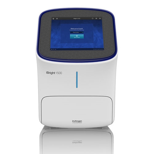  iBright™ CL1500 Imaging System