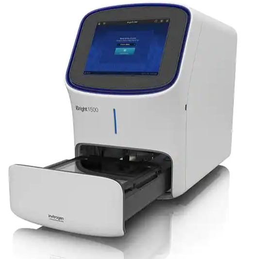 iBright™ FL1500 Imaging System