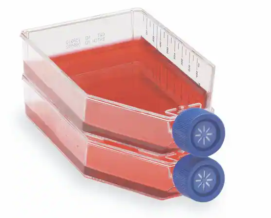 Nunc™ EasYFlask™ Cell Culture Flask