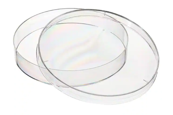 Nunc™ EasYDish™ Dishes