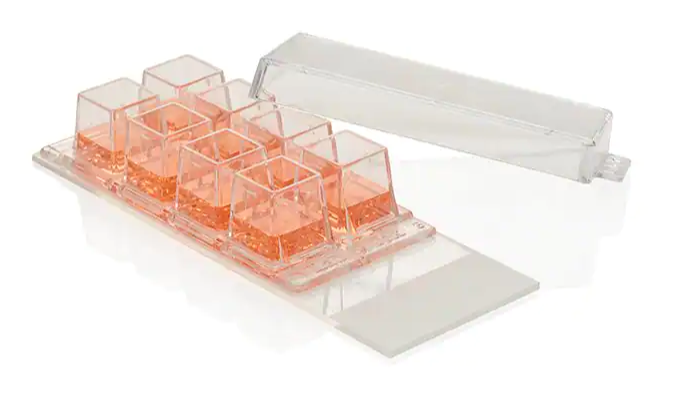 Nunc™ Lab-Tek™ Chamber Slide System